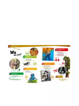TESSLOFF VERLAG | Livre - Was ist Was - Forêt - Plus que de simples arbres 134 | 